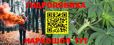 твердый Пенза
