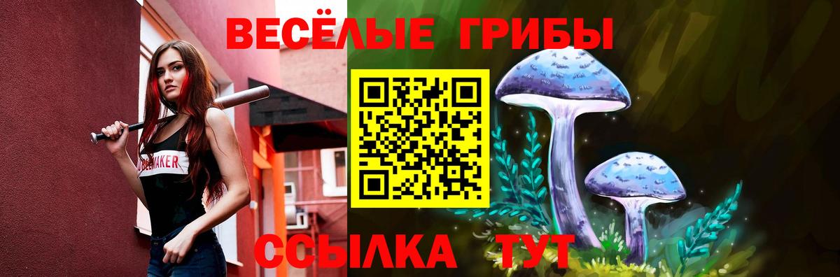 Псилоцибиновые грибы Psilocybine cubensis  Вход с VPN  Псилоцибиновые грибы Psilocybe  Саратов 